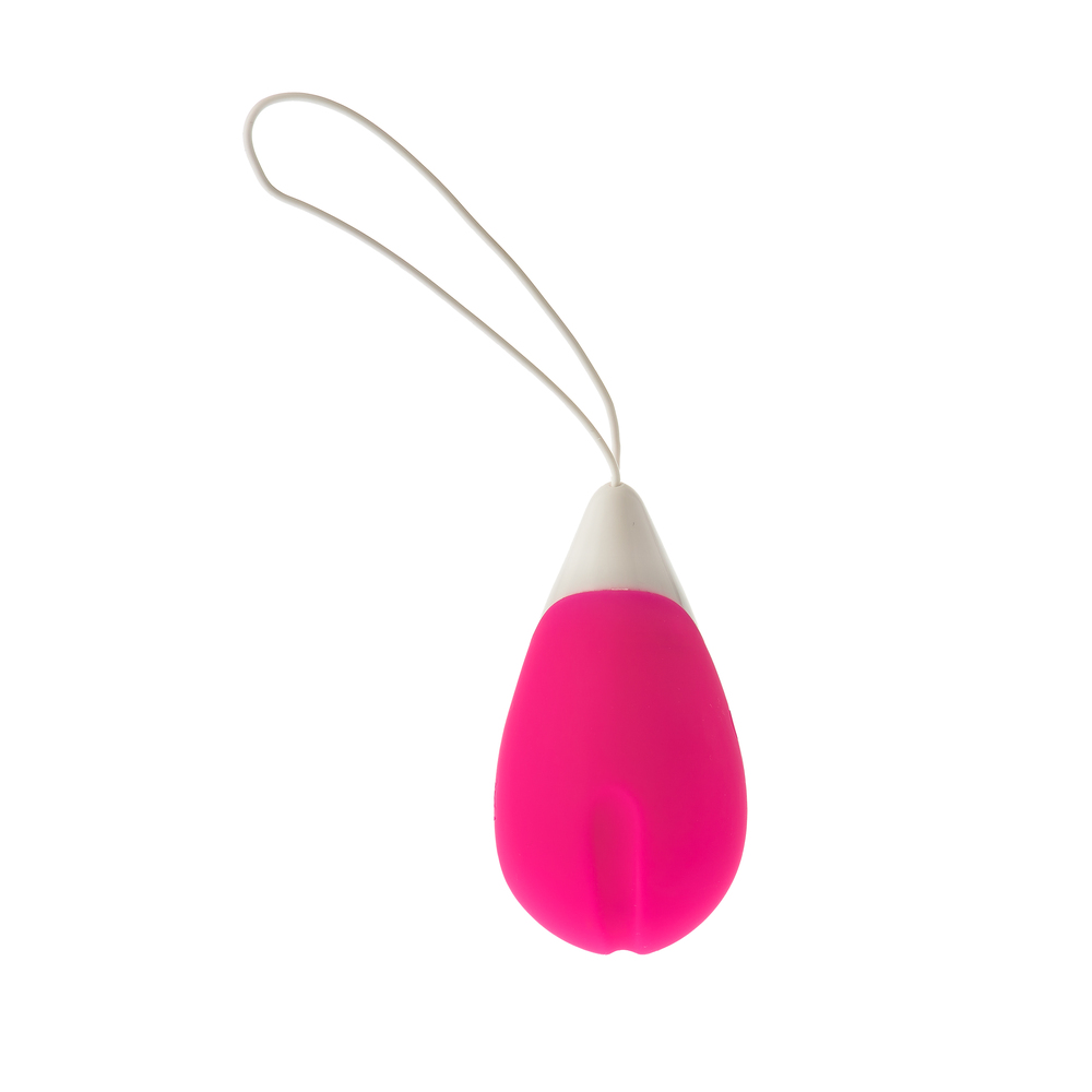All Time Favourite 10 Function Remote Control Egg - Image 2