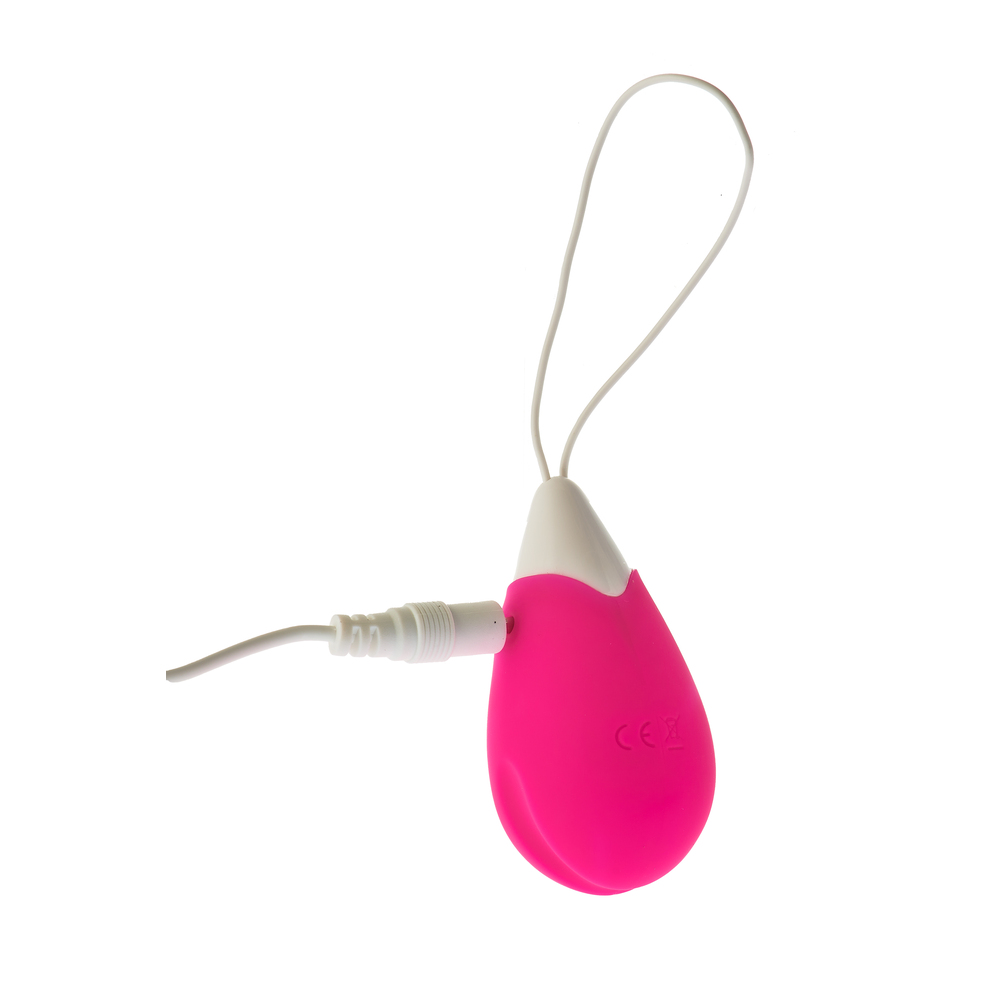 All Time Favourite 10 Function Remote Control Egg - Image 3