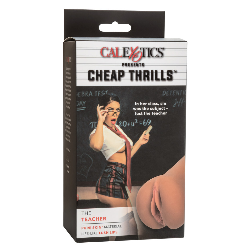 Cheap Thrills The Teacher Lush Lips Masturbator - Image 4